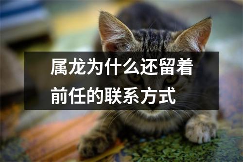 属龙为什么还留着前任的联系方式