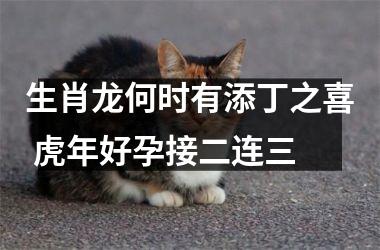 生肖龙何时有添丁之喜 虎年好孕接二连三