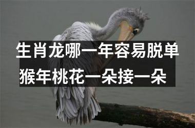 生肖龙哪一年容易脱单 猴年桃花一朵接一朵