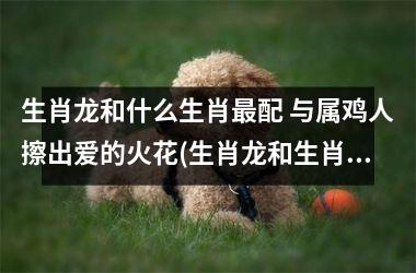 生肖龙和什么生肖配 与属鸡人擦出爱的火花(生肖龙和生肖牛的婚姻如何)