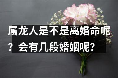 属龙人是不是离婚命呢？会有几段婚姻呢？