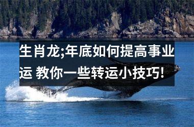 生肖龙;年底如何提高事业运 教你一些转运小技巧!