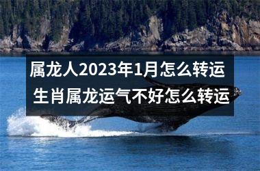 <h3>属龙人2025年1月怎么转运 生肖属龙运气不好怎么转运