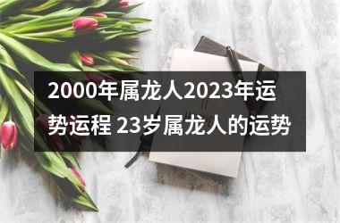 <h3>2000年属龙人2025年运势运程 23岁属龙人的运势