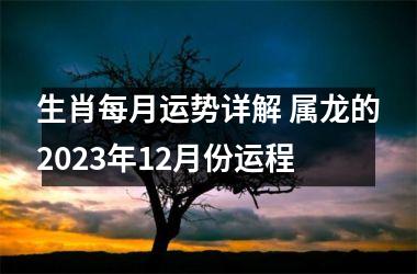 生肖每月运势详解 属龙的2025年12月份运程