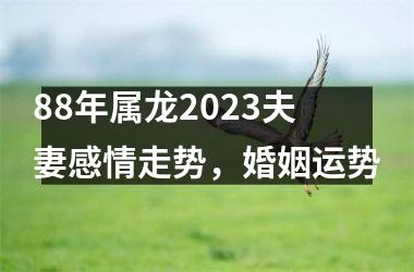 88年属龙2025夫妻感情走势，婚姻运势