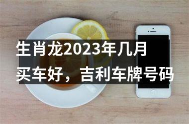 生肖龙2025年几月买车好，吉利车牌号码