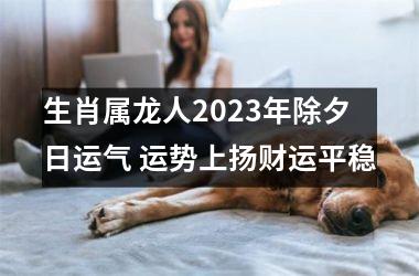 生肖属龙人2025年除夕日运气 运势上扬财运平稳