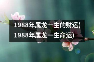 1988年属龙一生的财运(1988年属龙一生命运)