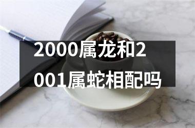 2000属龙和2001属蛇相配吗