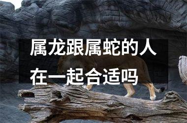 属龙跟属蛇的人在一起合适吗