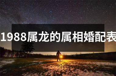 1988属龙的属相婚配表