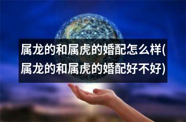 属龙的和属虎的婚配怎么样(属龙的和属虎的婚配好不好)