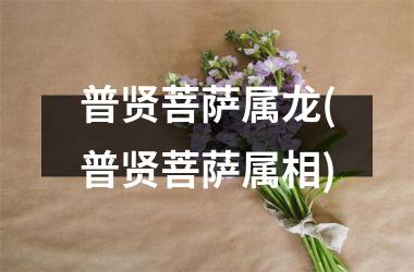 <h3>普贤菩萨属龙(普贤菩萨属相)