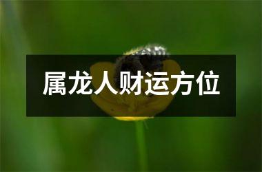 属龙人财运方位