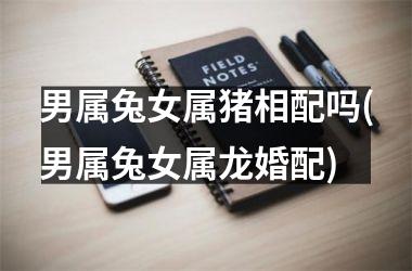 男属兔女属猪相配吗(男属兔女属龙婚配)