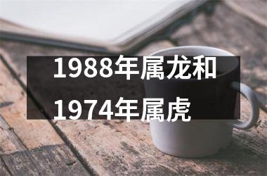 <h3>1988年属龙和1974年属虎