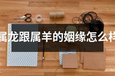属龙跟属羊的姻缘怎么样