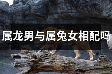 属龙男与属兔女相配吗