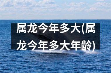 属龙今年多大(属龙今年多大年龄)