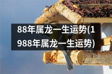 88年属龙一生运势(1988年属龙一生运势)