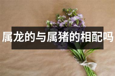 属龙的与属猪的相配吗