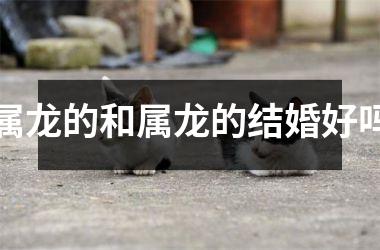 属龙的和属龙的结婚好吗