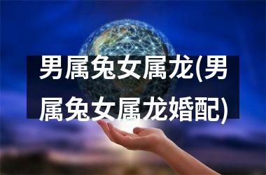 <h3>男属兔女属龙(男属兔女属龙婚配)