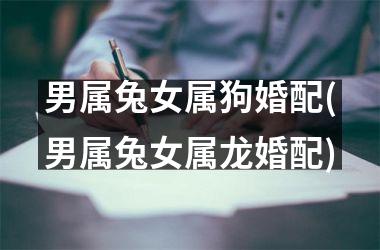 男属兔女属狗婚配(男属兔女属龙婚配)