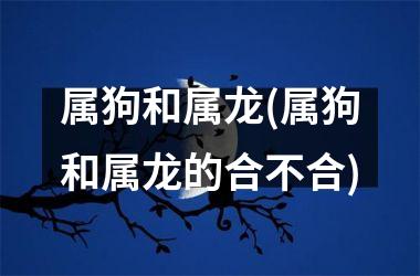 <h3>属狗和属龙(属狗和属龙的合不合)