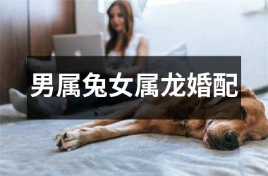 男属兔女属龙婚配