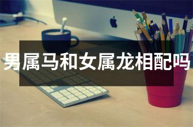 男属马和女属龙相配吗