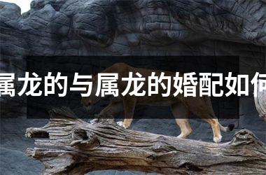 属龙的与属龙的婚配如何