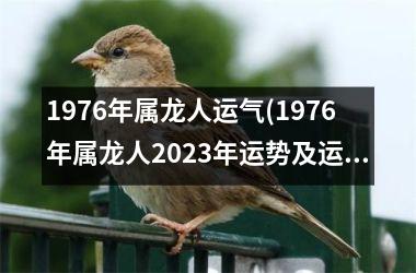 <h3>1976年属龙人运气(1976年属龙人2025年运势及运程每月运程)