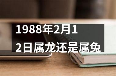 <h3>1988年2月12日属龙还是属兔