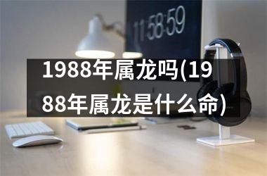 1988年属龙吗(1988年属龙是什么命)