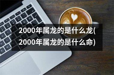 <h3>2000年属龙的是什么龙(2000年属龙的是什么命)