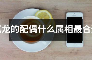 属龙的配偶什么属相最合适