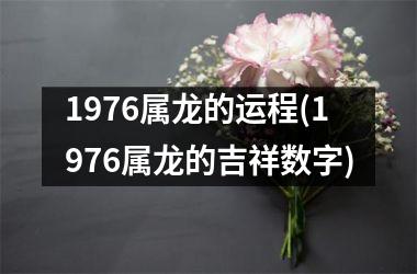 1976属龙的运程(1976属龙的吉祥数字)