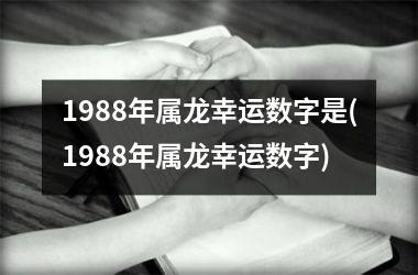<h3>1988年属龙幸运数字是(1988年属龙幸运数字)