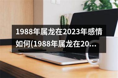 1988年属龙在2023年感情如何(1988年属龙在2023年的运势)