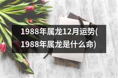 1988年属龙12月运势(1988年属龙是什么命)