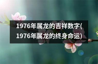 1976年属龙的吉祥数字(1976年属龙的终身命运)