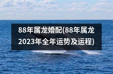 88年属龙婚配(88年属龙2025年全年运势及运程)