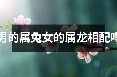 男的属兔女的属龙相配吗