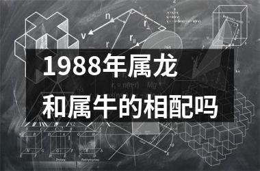 1988年属龙和属牛的相配吗