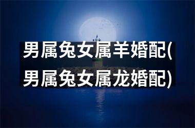 男属兔女属羊婚配(男属兔女属龙婚配)