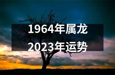 1964年属龙2025年运势