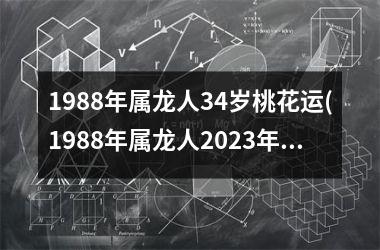1988年属龙人34岁桃花运(1988年属龙人2023年运势)