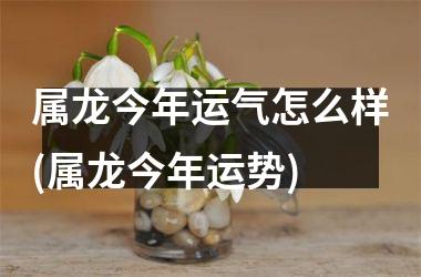 <h3>属龙今年运气怎么样(属龙今年运势)